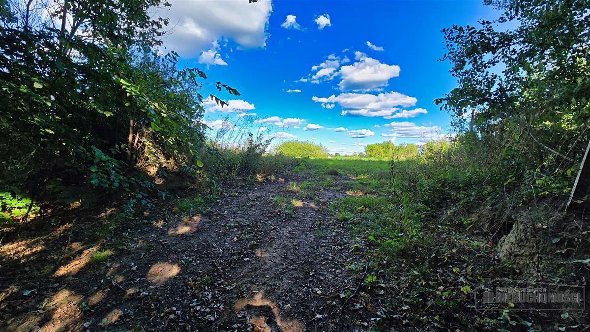 Sprzedaż Działka budowlana Ostrowąsy