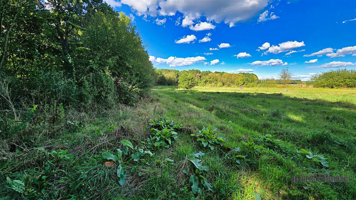 Sprzedaż Działka budowlana Ostrowąsy