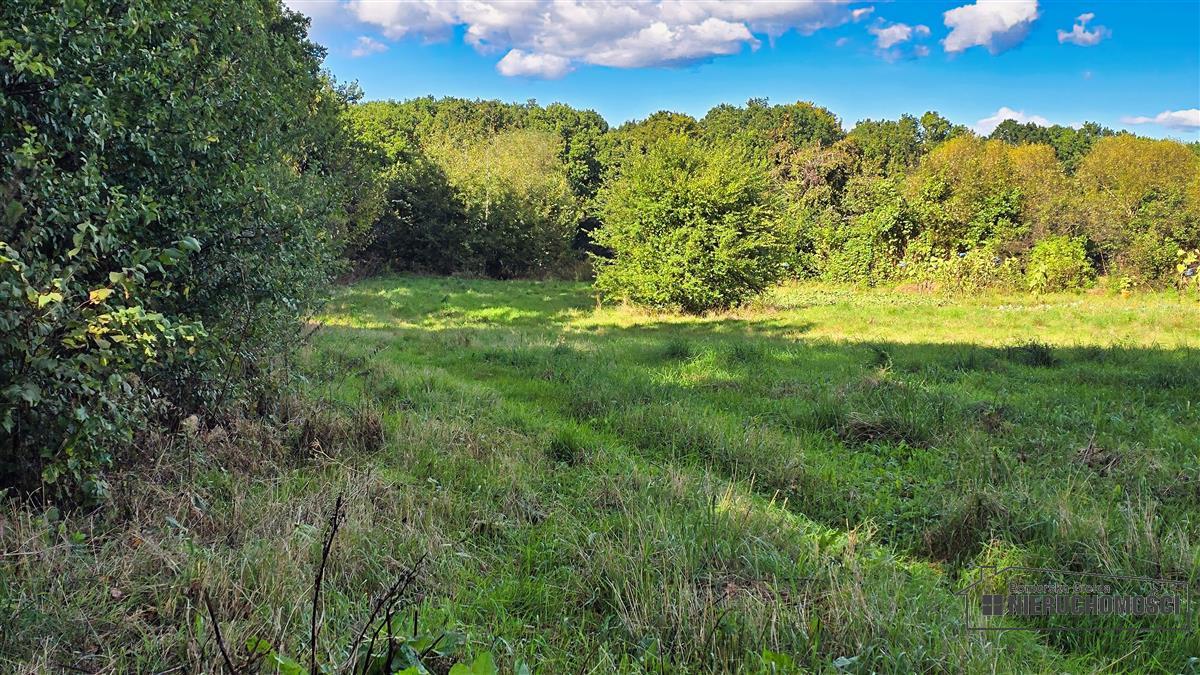 Sprzedaż Działka budowlana Ostrowąsy