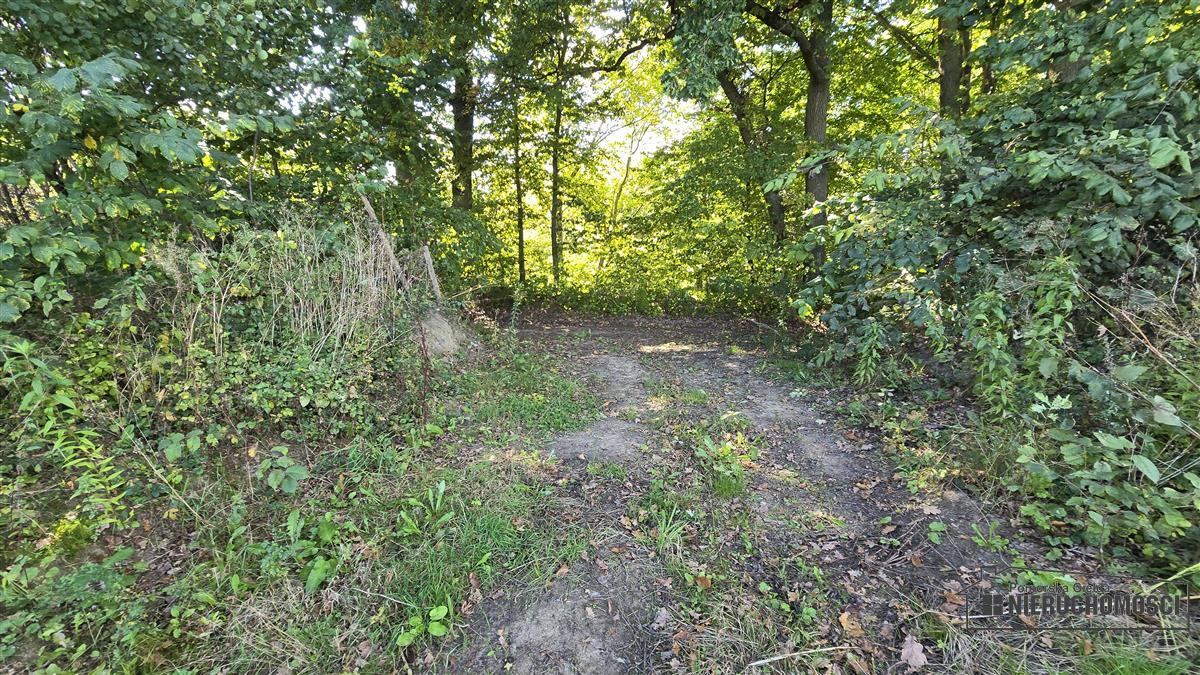 Sprzedaż Działka budowlana Ostrowąsy