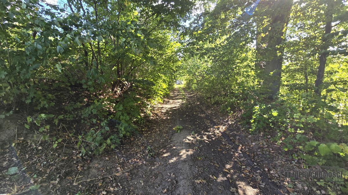 Sprzedaż Działka budowlana Ostrowąsy