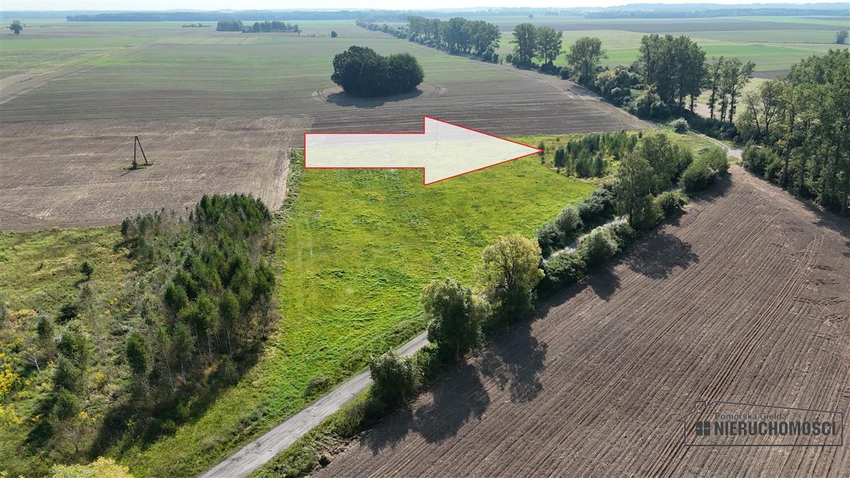 Sprzedaż Działka rolna Bielikowo