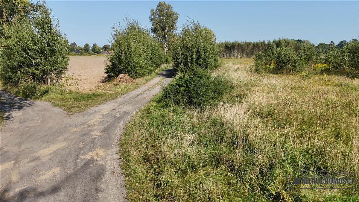 Sprzedaż Działka rolna Bielikowo