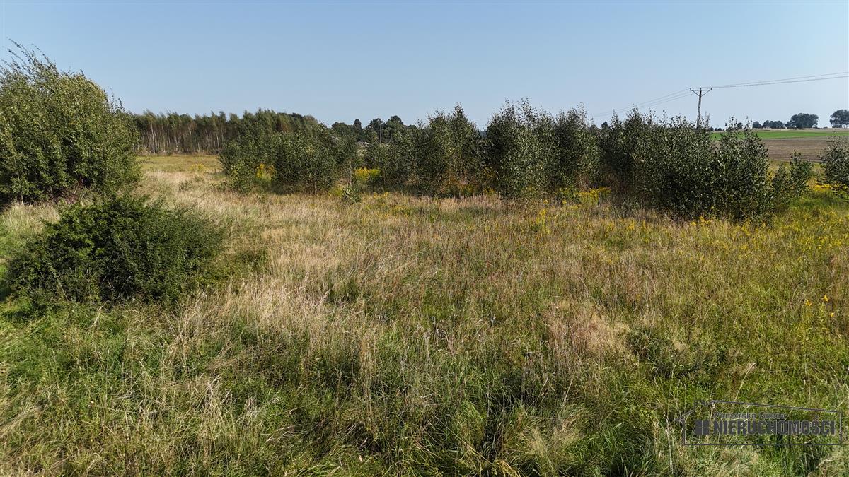 Sprzedaż Działka rolna Bielikowo