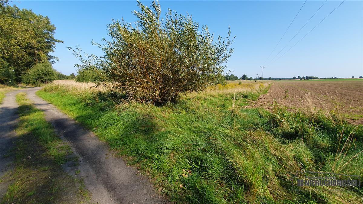 Sprzedaż Działka rolna Bielikowo