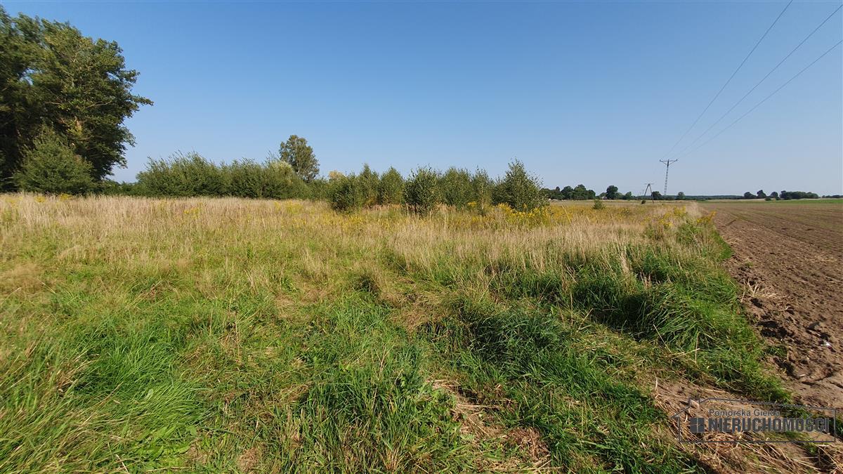 Sprzedaż Działka rolna Bielikowo