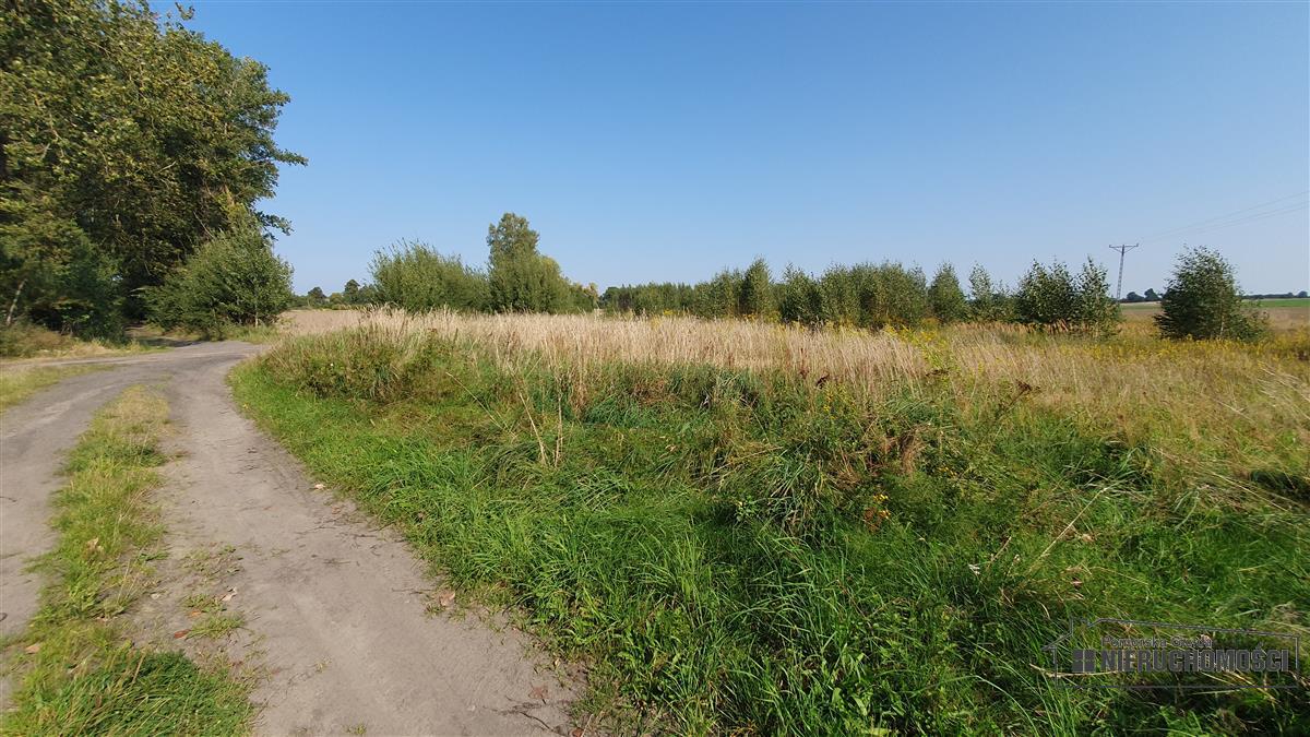 Sprzedaż Działka rolna Bielikowo