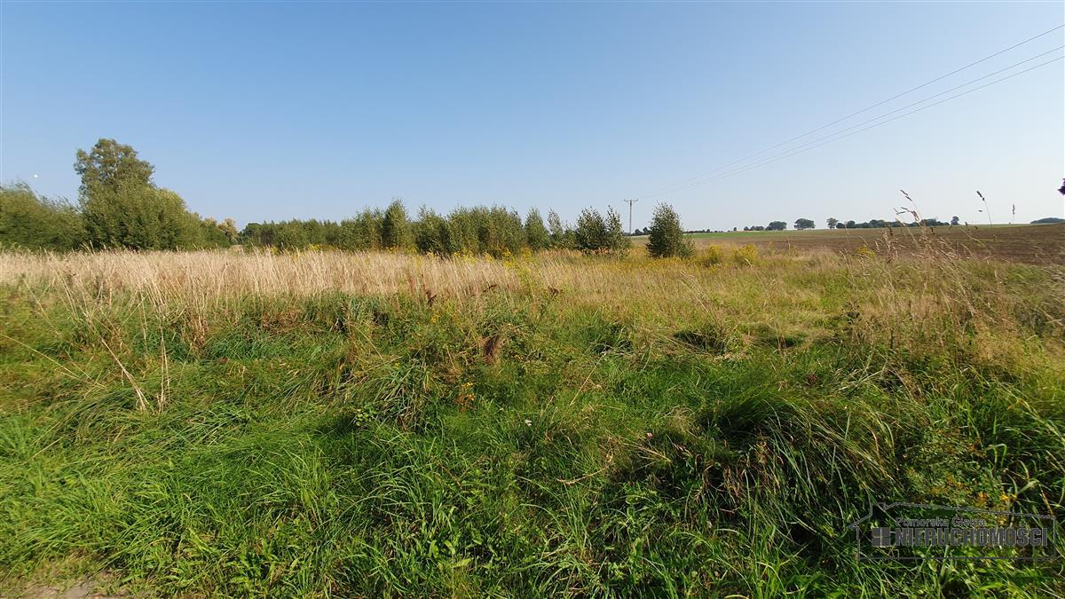 Sprzedaż Działka rolna Bielikowo