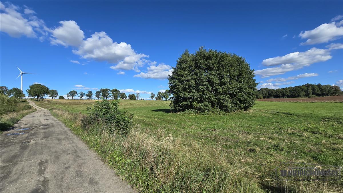 Sprzedaż Działka siedliskowa Knyki