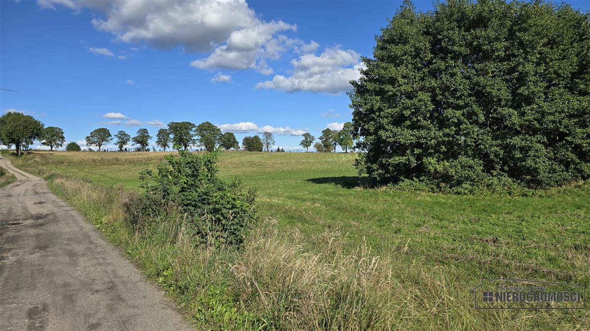 Sprzedaż Działka siedliskowa Knyki