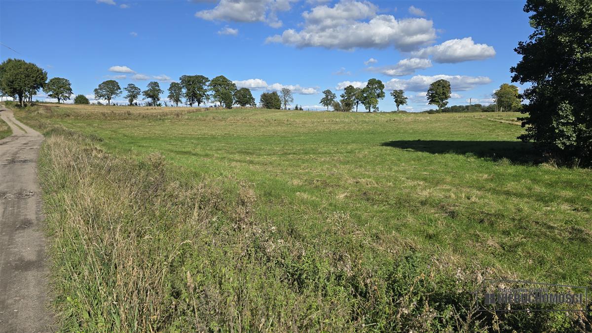 Sprzedaż Działka siedliskowa Knyki