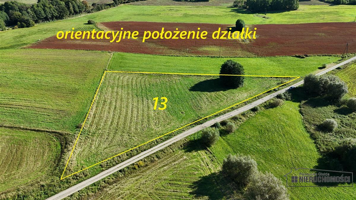 Sprzedaż Działka siedliskowa Knyki