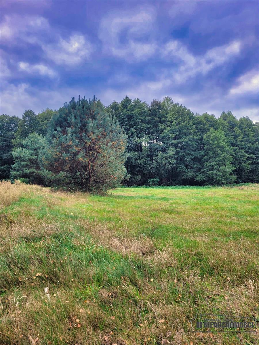 Sprzedaż Działka budowlana Piaseczno