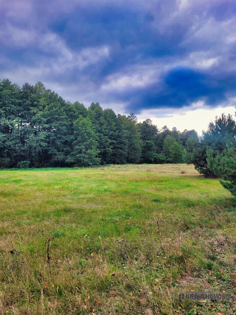 Sprzedaż Działka budowlana Piaseczno