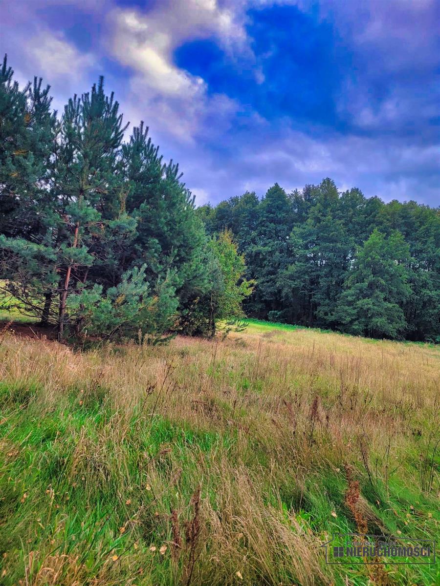 Sprzedaż Działka budowlana Piaseczno