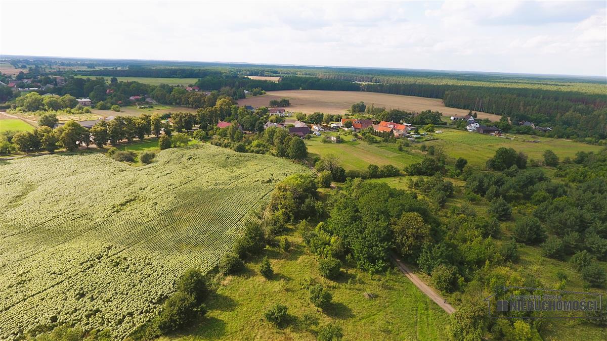 Sprzedaż Działka budowlana Bogusław