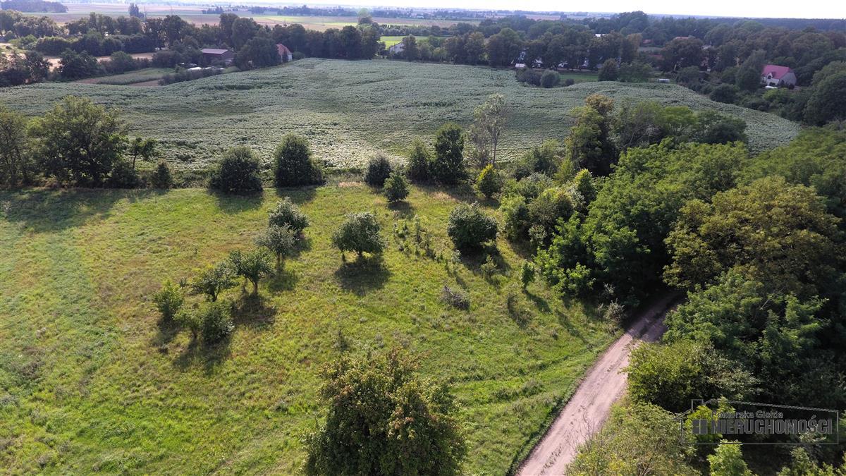 Sprzedaż Działka budowlana Bogusław