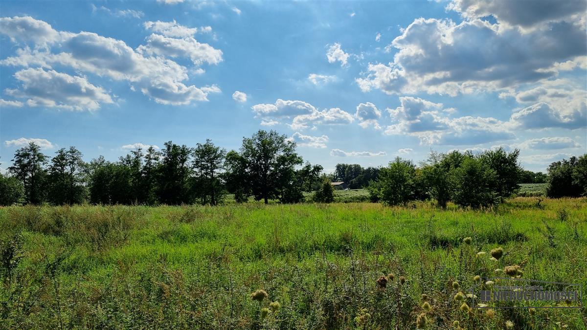 Sprzedaż Działka budowlana Bogusław
