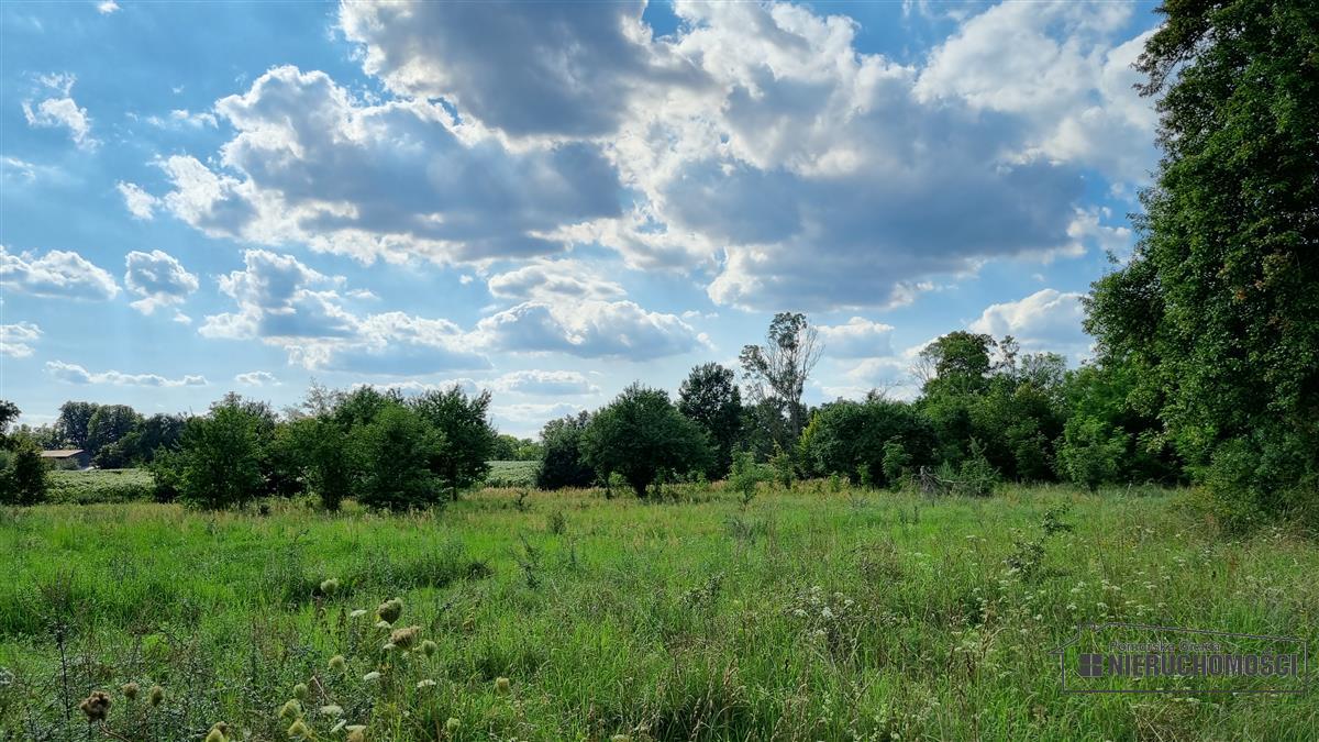 Sprzedaż Działka budowlana Bogusław