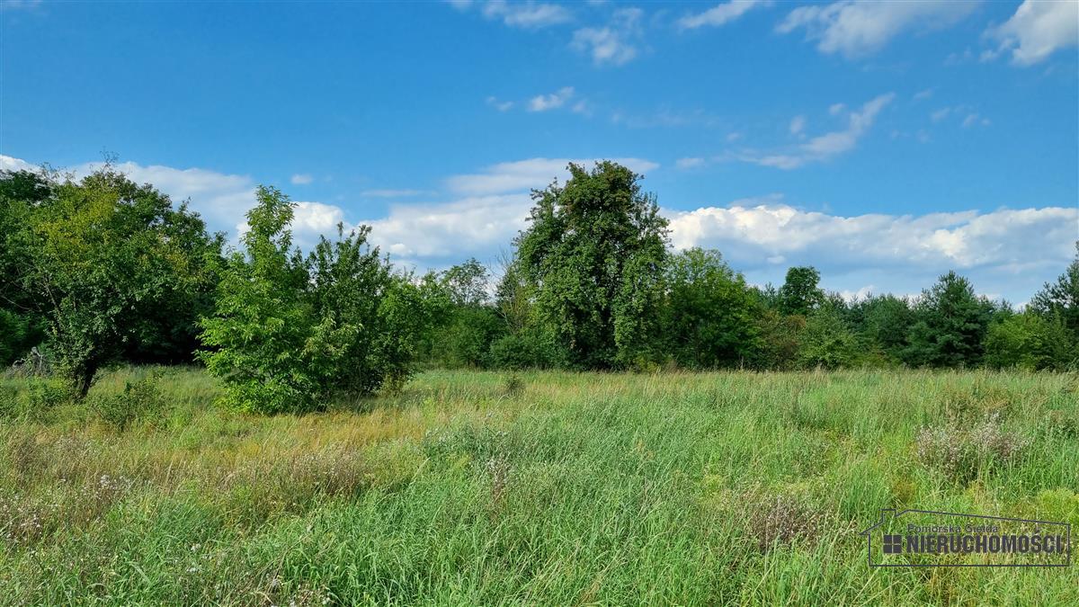 Sprzedaż Działka budowlana Bogusław
