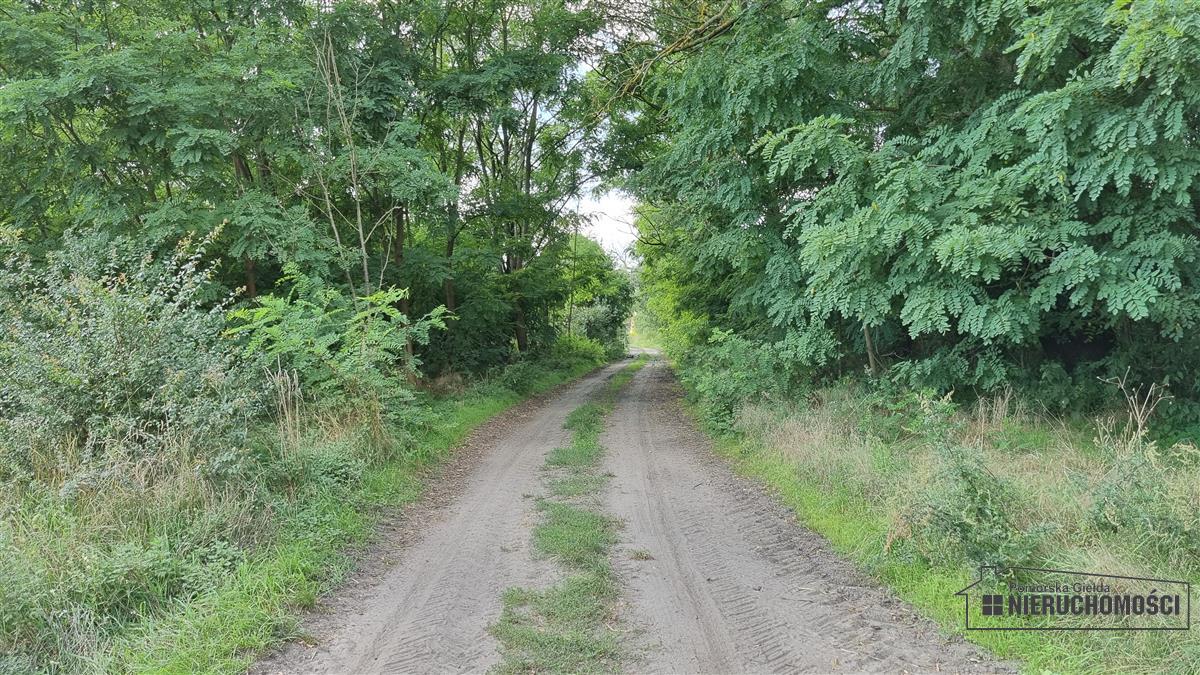 Sprzedaż Działka budowlana Bogusław