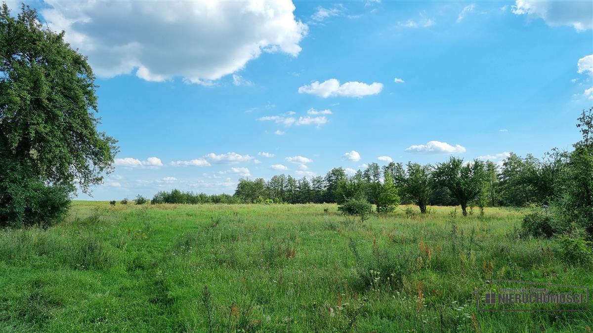 Sprzedaż Działka budowlana Bogusław