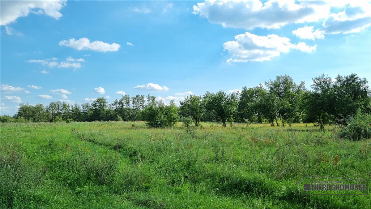 Sprzedaż Działka budowlana Bogusław