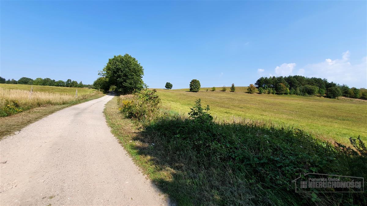 Sprzedaż Działka rolna Borne