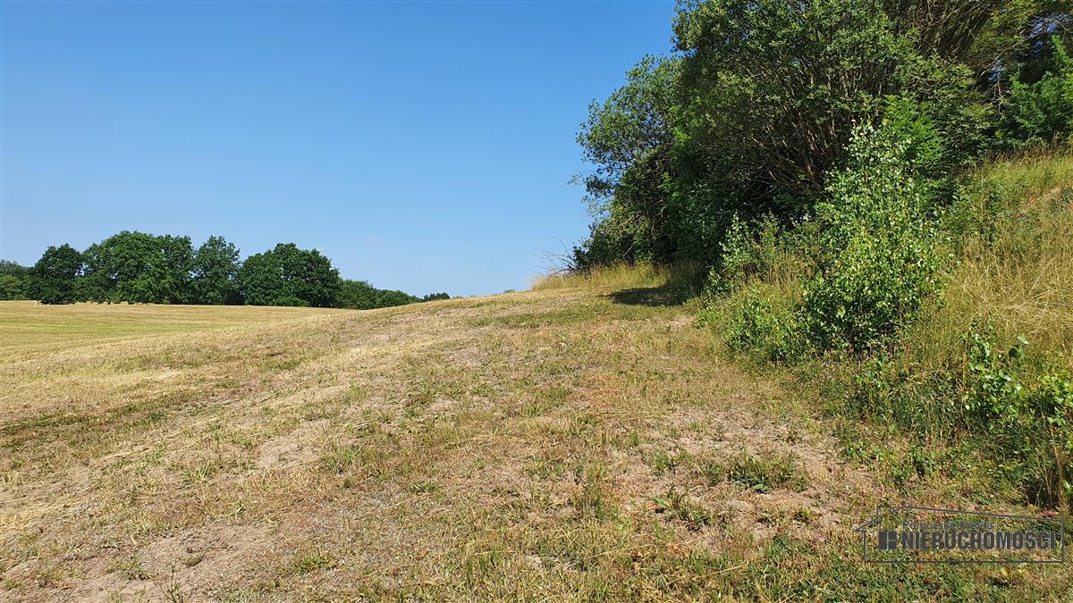 Sprzedaż Działka rolna Borne
