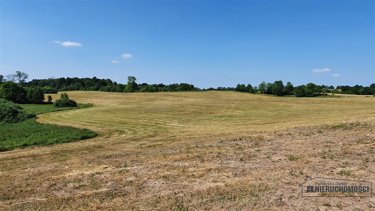 Sprzedaż Działka rolna Borne