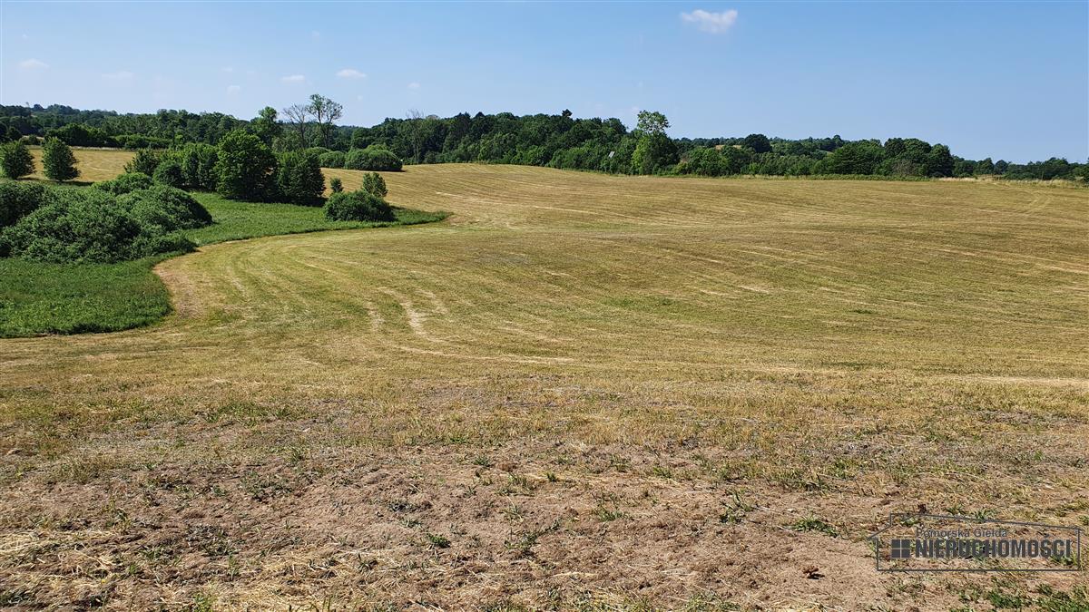 Sprzedaż Działka rolna Borne