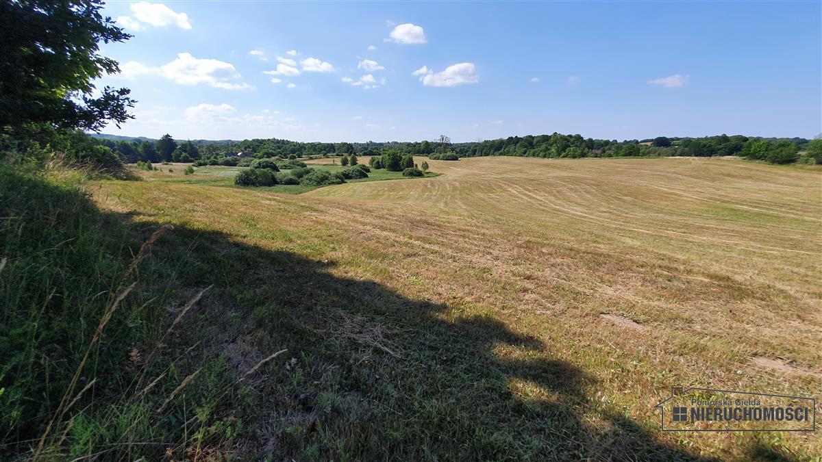 Sprzedaż Działka rolna Borne