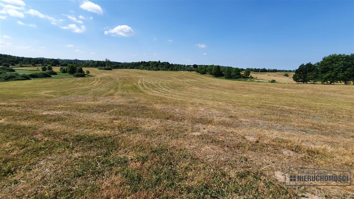 Sprzedaż Działka rolna Borne