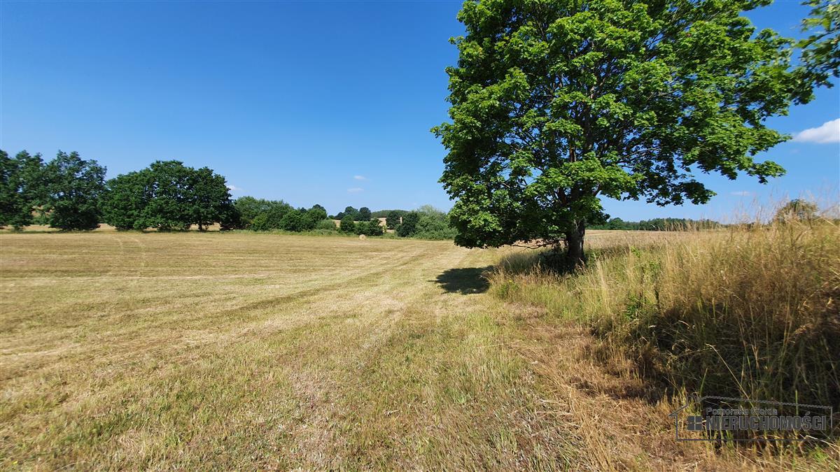 Sprzedaż Działka rolna Borne