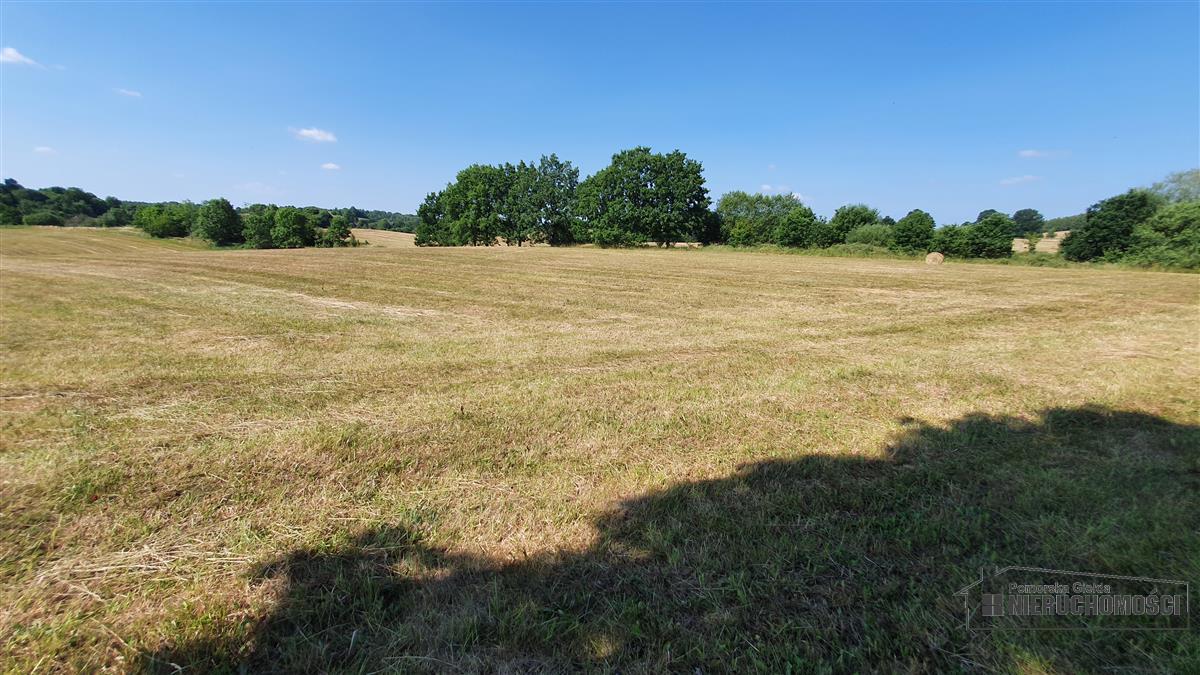 Sprzedaż Działka rolna Borne