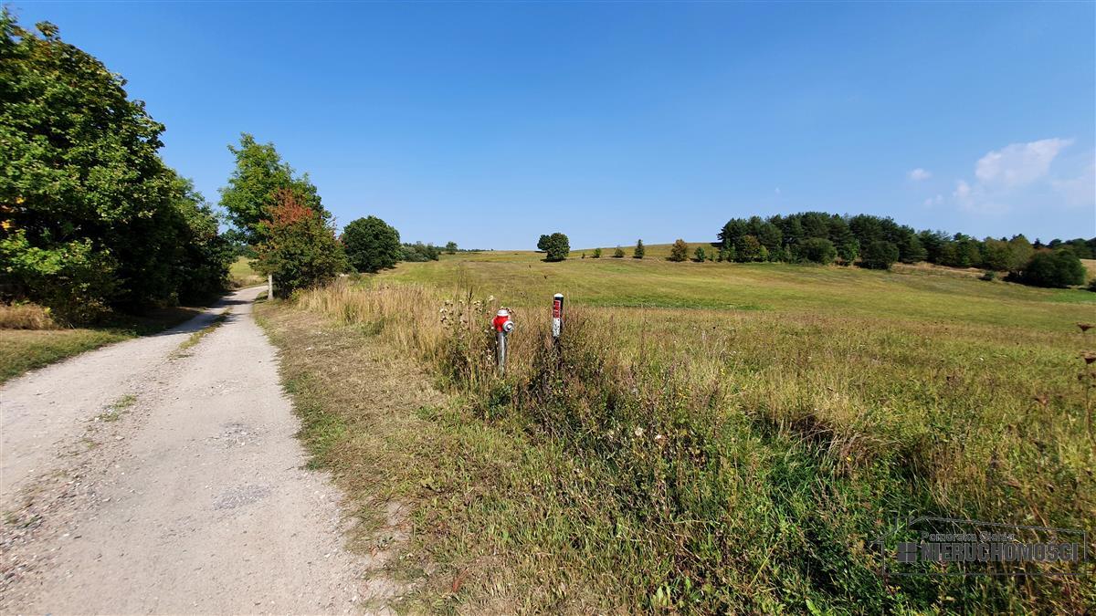 Sprzedaż Działka rolna Borne