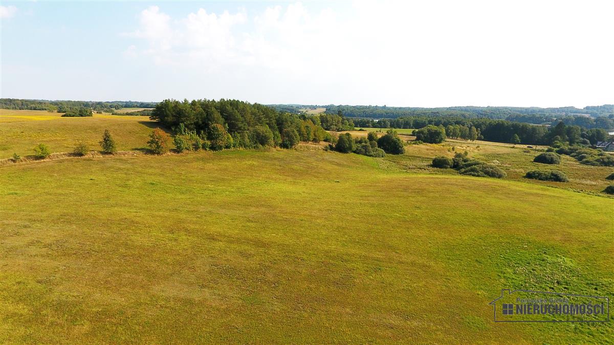 Sprzedaż Działka rolna Borne