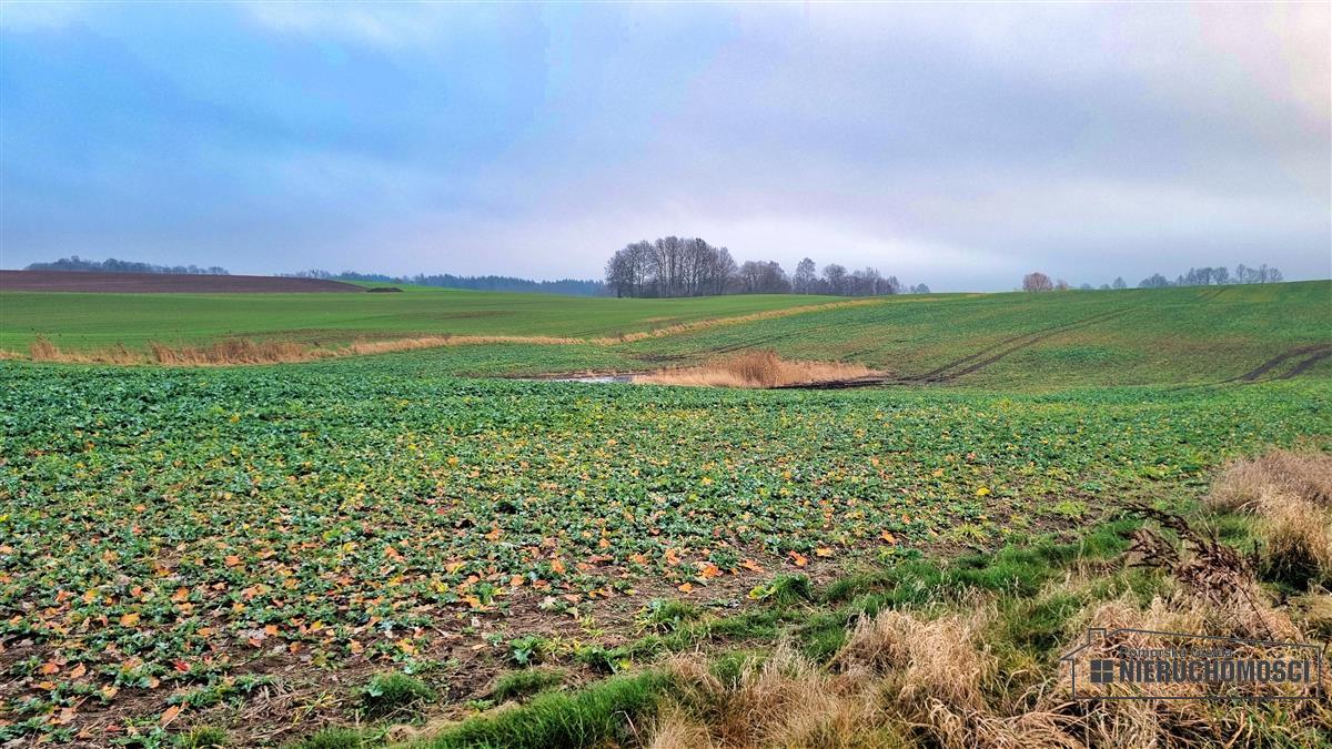 Sprzedaż Działka budowlana Marcelin