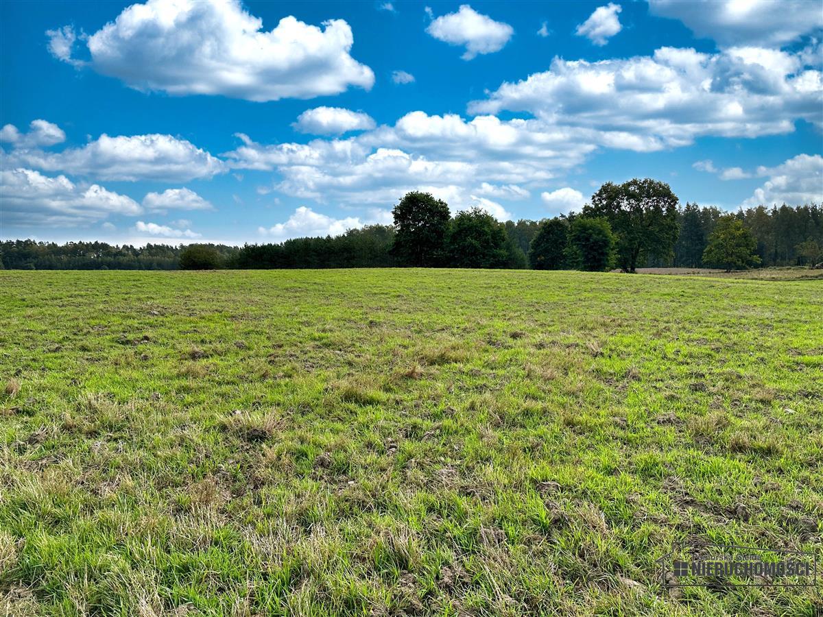 Sprzedaż Działka budowlana Nowy Chwalim
