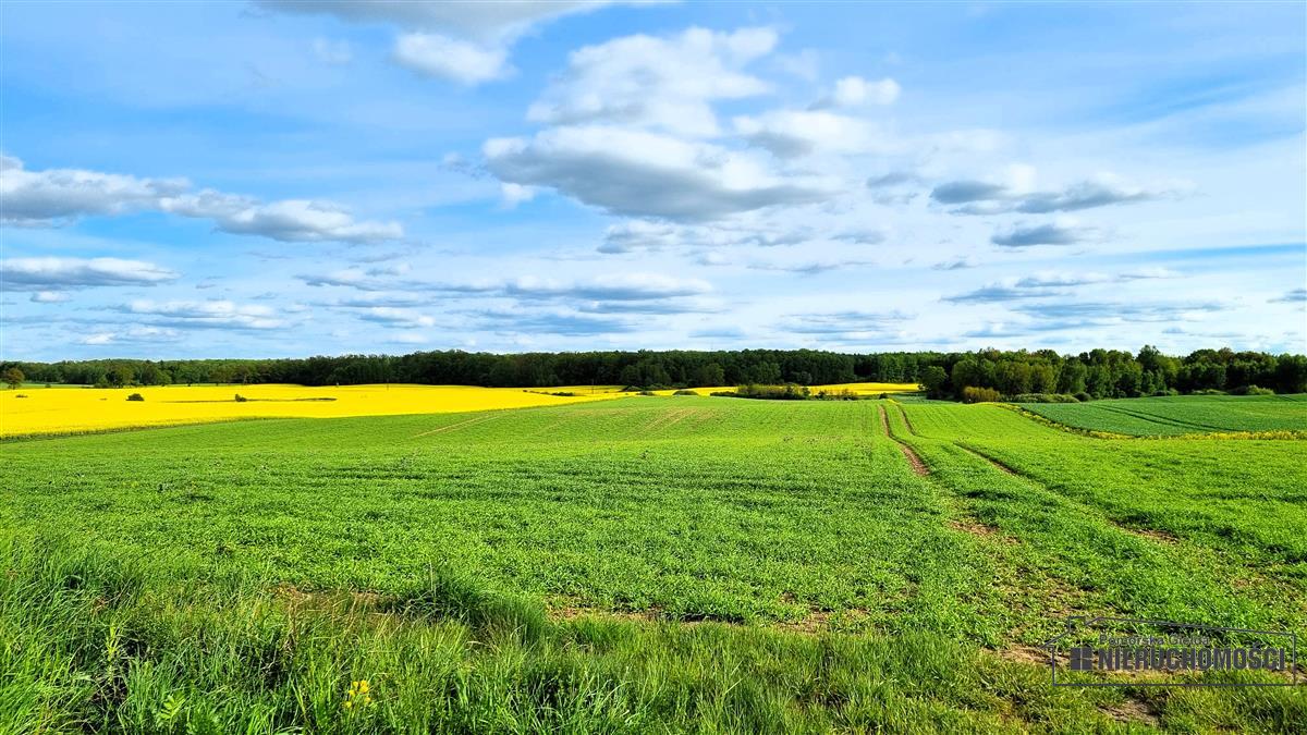 Sprzedaż Działka budowlana Marcelin