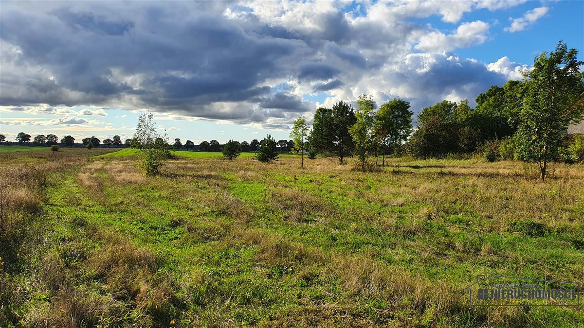 Sprzedaż Działka budowlana Dargikowo