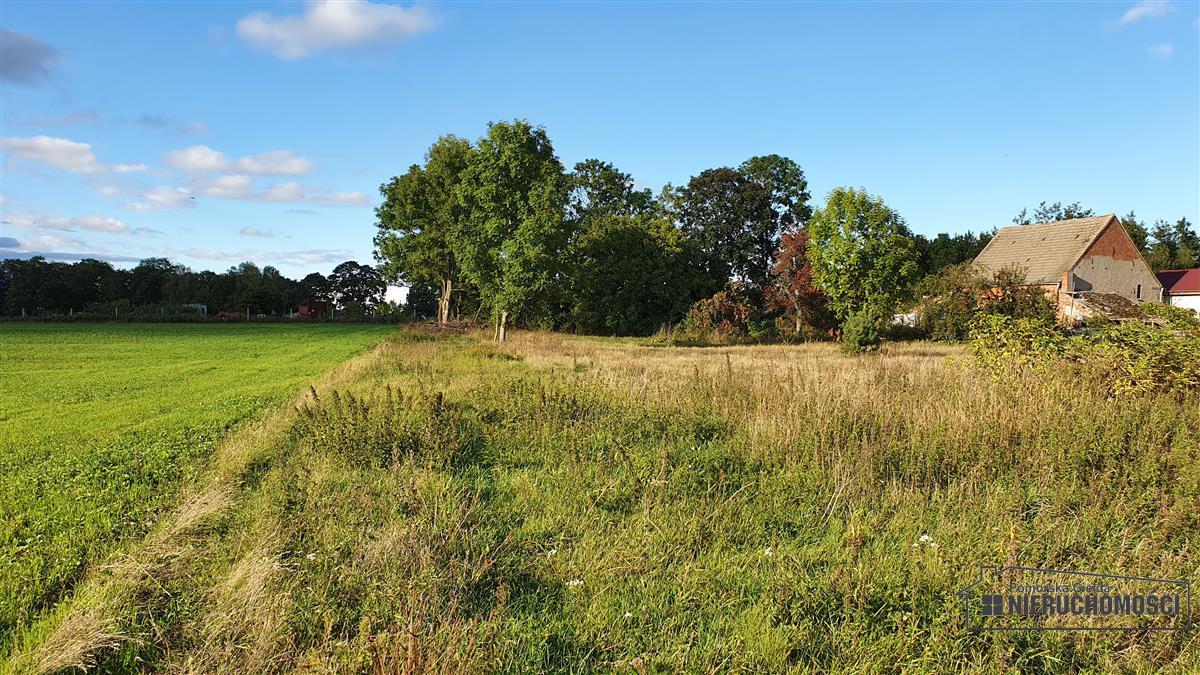 Sprzedaż Działka budowlana Dargikowo