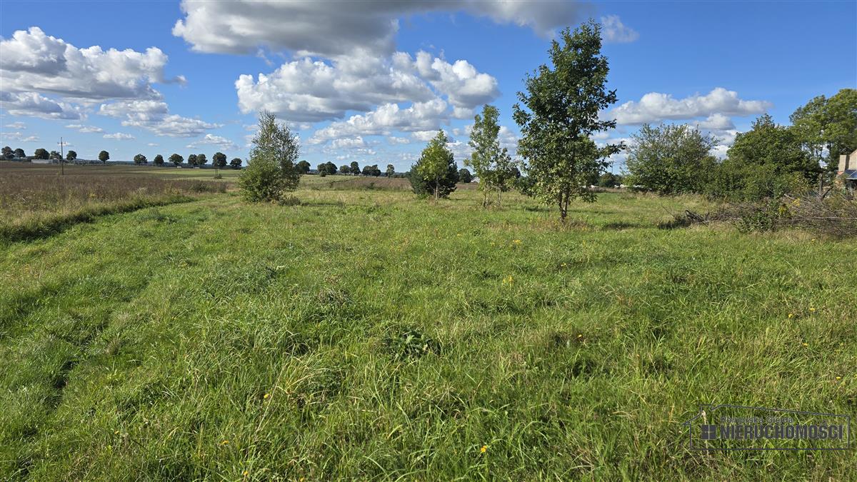 Sprzedaż Działka budowlana Dargikowo
