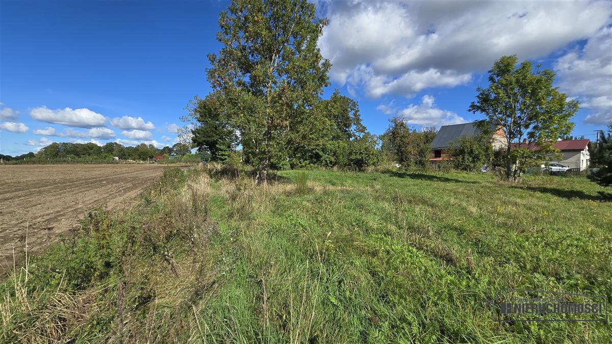 Sprzedaż Działka budowlana Dargikowo