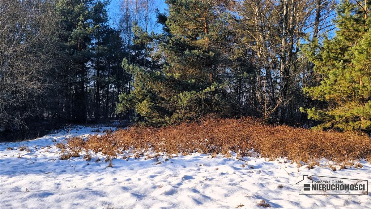 Sprzedaż Działka budowlana Gwda Wielka