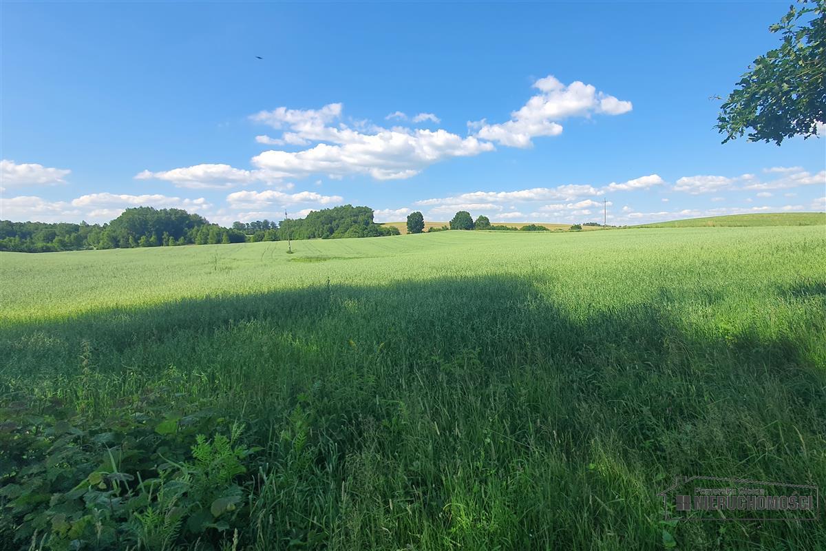 Sprzedaż Działka rolna Mieszałki