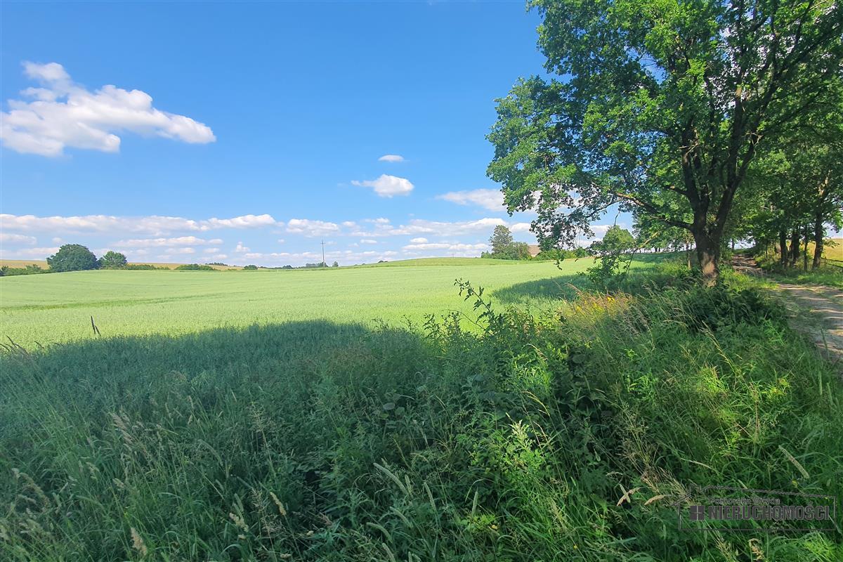 Sprzedaż Działka rolna Mieszałki