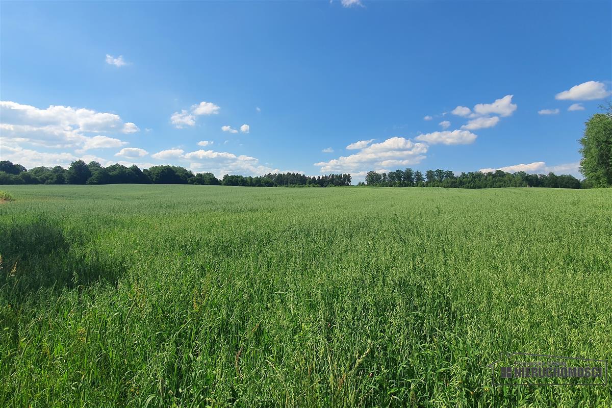 Sprzedaż Działka rolna Mieszałki