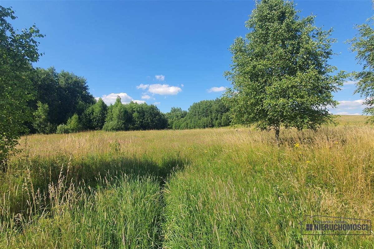 Sprzedaż Działka rolna Mieszałki