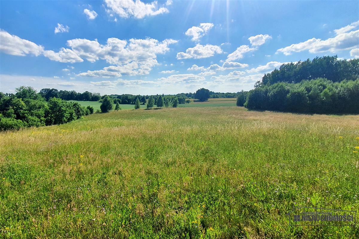 Sprzedaż Działka rolna Mieszałki